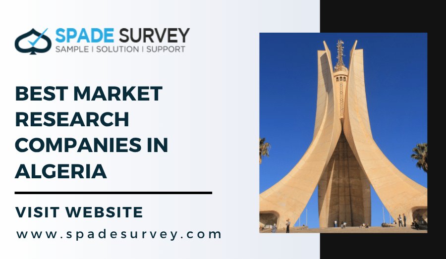 Best Market Research Companies in Algeria