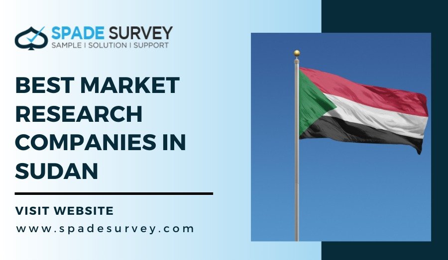 Best Market Research Companies in Sudan